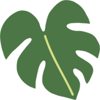 boho monstera blad uit de vrije hand tekenen plat ontwerp. png