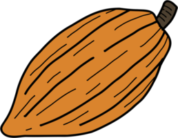 cacao fruit doodle freehand drawing. png