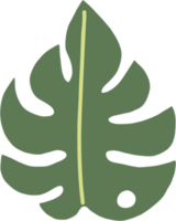 boho monstera leaf dibujo a mano alzada diseño plano. png