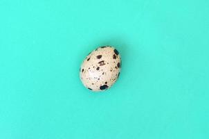 One quail egg on a light green surface, top view, empty place for text. Minimalism photo