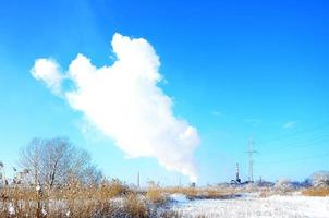 The industrial plant is located behind the swampy terrain, covered with snow. Large field of yellow bulrushes photo