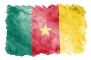 Cameroon flag is depicted in liquid watercolor style isolated on white background photo