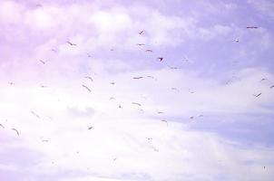 muchas gaviotas blancas vuelan en el cielo azul nublado foto