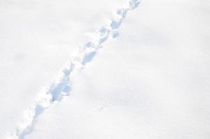 A lot of human tracks leave into the distance on the snow-covered road photo