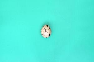 One quail egg on a light green surface, top view, empty place for text. Minimalism photo