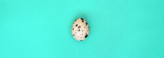 One quail egg on a light green surface, top view, empty place for text. Minimalism photo