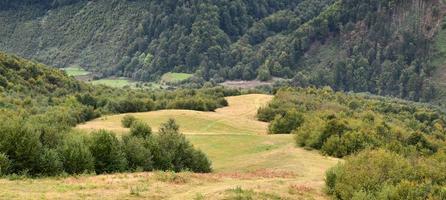 Fragment of the mountainous terrain in the Carpathians, Ukraine. The forest is forgiven by the reliefs of the Carpathian Mountains photo