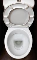 A photograph of a white ceramic toilet bowl in the dressing room or bathroom. Ceramic sanitary ware for correction of need photo