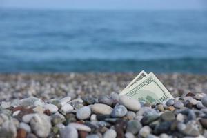 Hundred dollars half covered with round rocks lie on beach photo