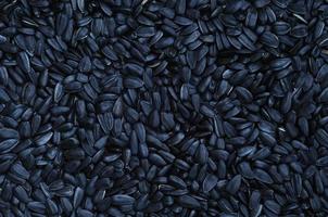 A pattern of many unprocessed fried sunflower seeds in a black shell. photo