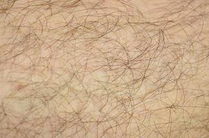 Close up detail of human skin with hair. Mans hairy leg photo