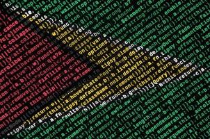 Guyana flag is depicted on the screen with the program code. The concept of modern technology and site development photo