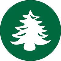 Spruce tree, icon illustration, vector on white background