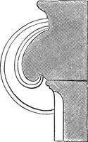 Section of a Volute of an Ionic Capital, hollowed,  vintage engraving. vector