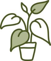 Dieffenbachia in pot, illustration, vector on a white background.
