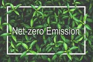 Net-zero Emission Concept. Love the Earth, Save the Environment photo