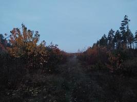 Morning and night panorama of dawn photo