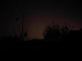 hermoso cielo nocturno con estrellas foto