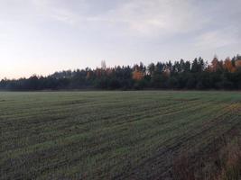 panorama matutino y nocturno del amanecer foto