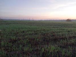 Morning and night panorama of dawn photo