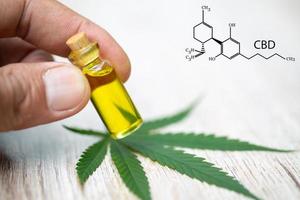 CBD hemp oil  products, Hand holding bottle of Cannabis oil against Marijuana plant. Herbal Treatment, Alternative Medicine photo