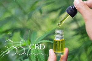 aceite de cáñamo cbd, cannabidiol cbd de fórmula, asimiento de la mano del médico y oferta al paciente de marihuana medicinal y aceite, prescripción legal de medicamentos ligeros, remedio alternativo o medicamento, concepto de medicina foto