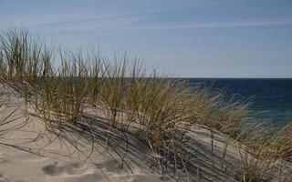 Sand dunes on the shore of the Baltic Sea. Marram grass growing in the sand. Landscape with beach sea view, sand dune and grass. photo