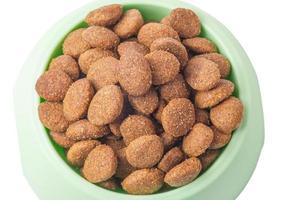 Dry animal feed in a green bowl. Balanced nutrition for cats or dogs. Food for pets. photo