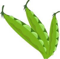 Fresh peas, illustration, vector on white background.