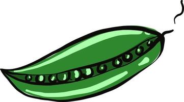 Small peas , illustration, vector on white background