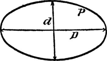 Ellipse, vintage illustration. vector