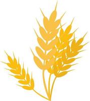 Wheat, illustration, vector on white background.