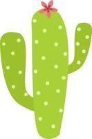 cactus, ilustración, vector sobre fondo blanco.