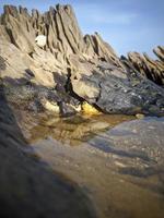 charco de agua en un tronco en la playa foto