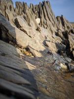 puddle of water in a log on the beach photo