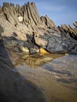 puddle of water in a log on the beach photo