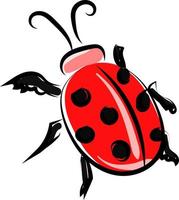 Ladybug drawing, illustration, vector on white background.