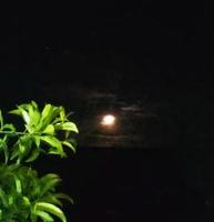 the moonlight at night looks beautiful photo