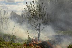 Black smoke from fire. Burning of garbage. Destruction of nature. Environmental disaster. photo