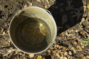 Bucket of water in garden. Steel bucket. Water for watering plants. photo