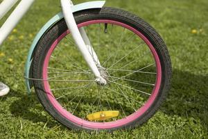 Bicycle wheel in summer. Wheel with pink rim. Children's bike. photo