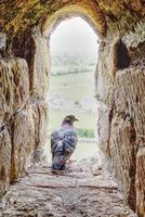 A pigeon sitting in a castle window with farm fields in the background photo