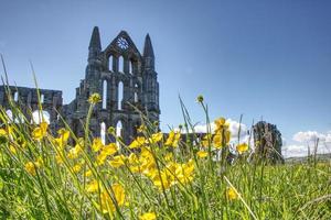 arches at whitby abbey ruins in north Yorkshire U.K. photo