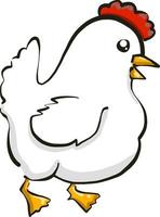 White hen , illustration, vector on white background