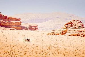 Group of tourist ride on camel caravan in wadi rum desert with scenic rock formations panorama photo