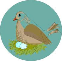 Bird in a nest, illustration, vector on white background