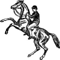 Horse-riding vintage illustration. vector