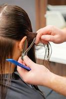 Hairdresser combs hair of young woman photo