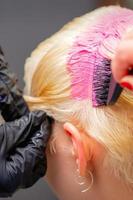 Hairdresser dyes hair of young woman in pink color photo