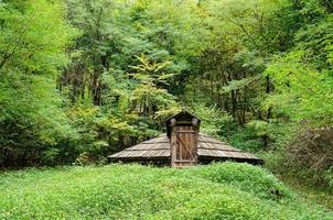 Old rural house with thatched roof photo